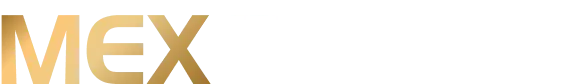 MEX Prime Logo